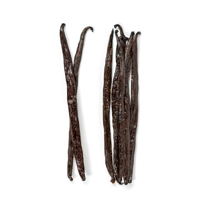 indian grade a vanilla beans with white background