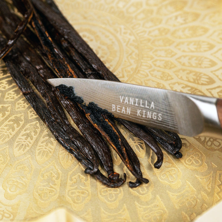 indian grade a vanilla beans showing caviar scraped out with knife