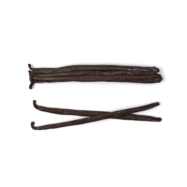 mexican grade a vanilla beans with white background