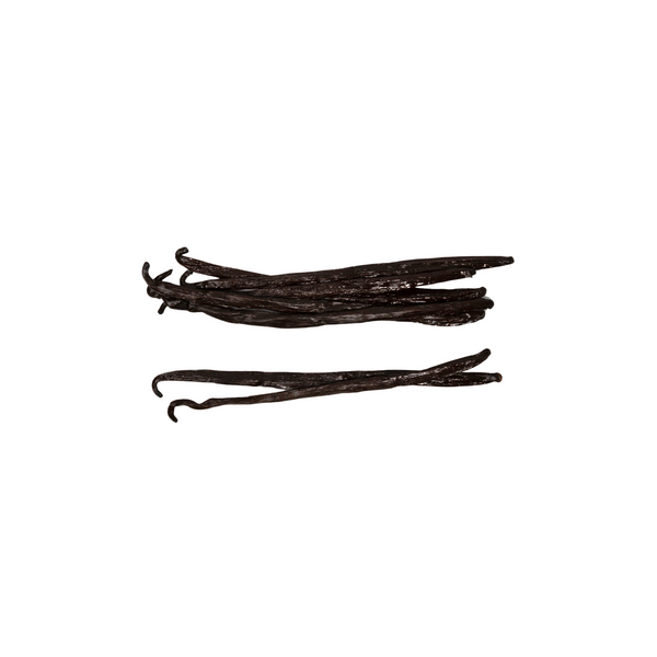 rwandan grade a vanilla beans with white background