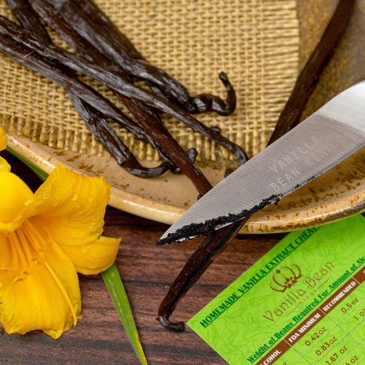 rwandan vanilla beans with caviar on knife by flower