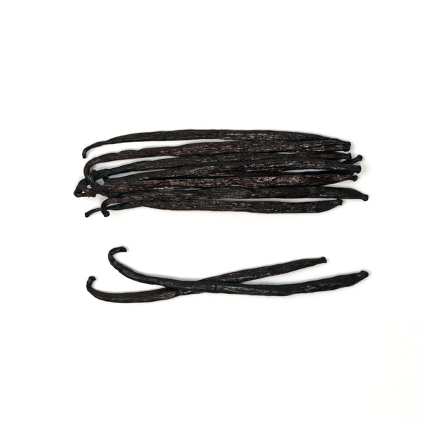 sri lanka vanilla beans with white background