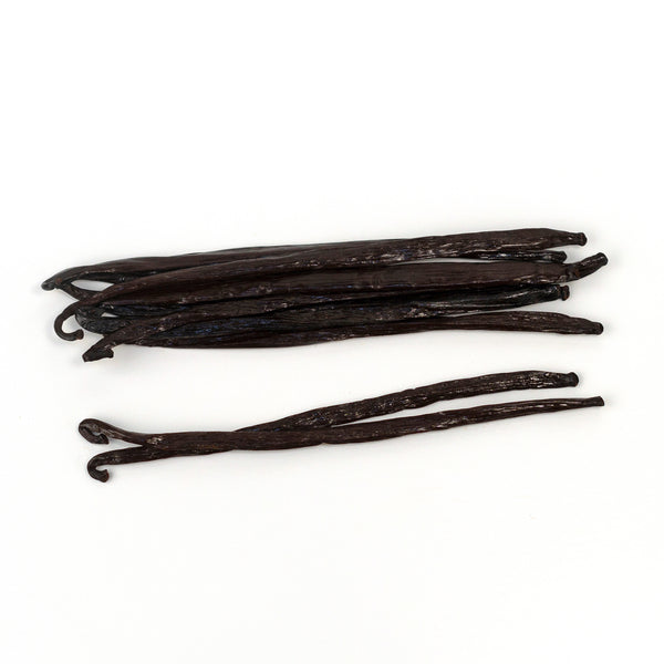 papua new guinea grade a vanilla beans with white background