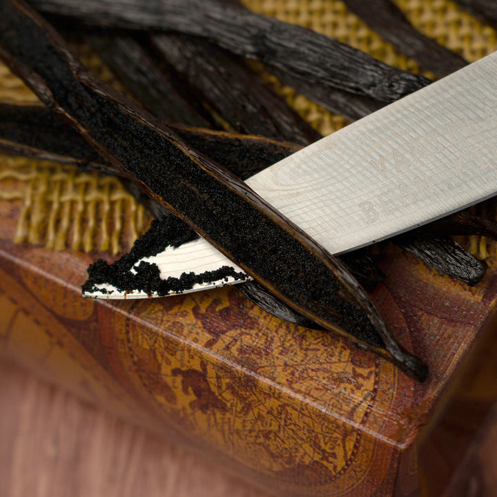 ugandan vanilla bean split showing caviar on knife