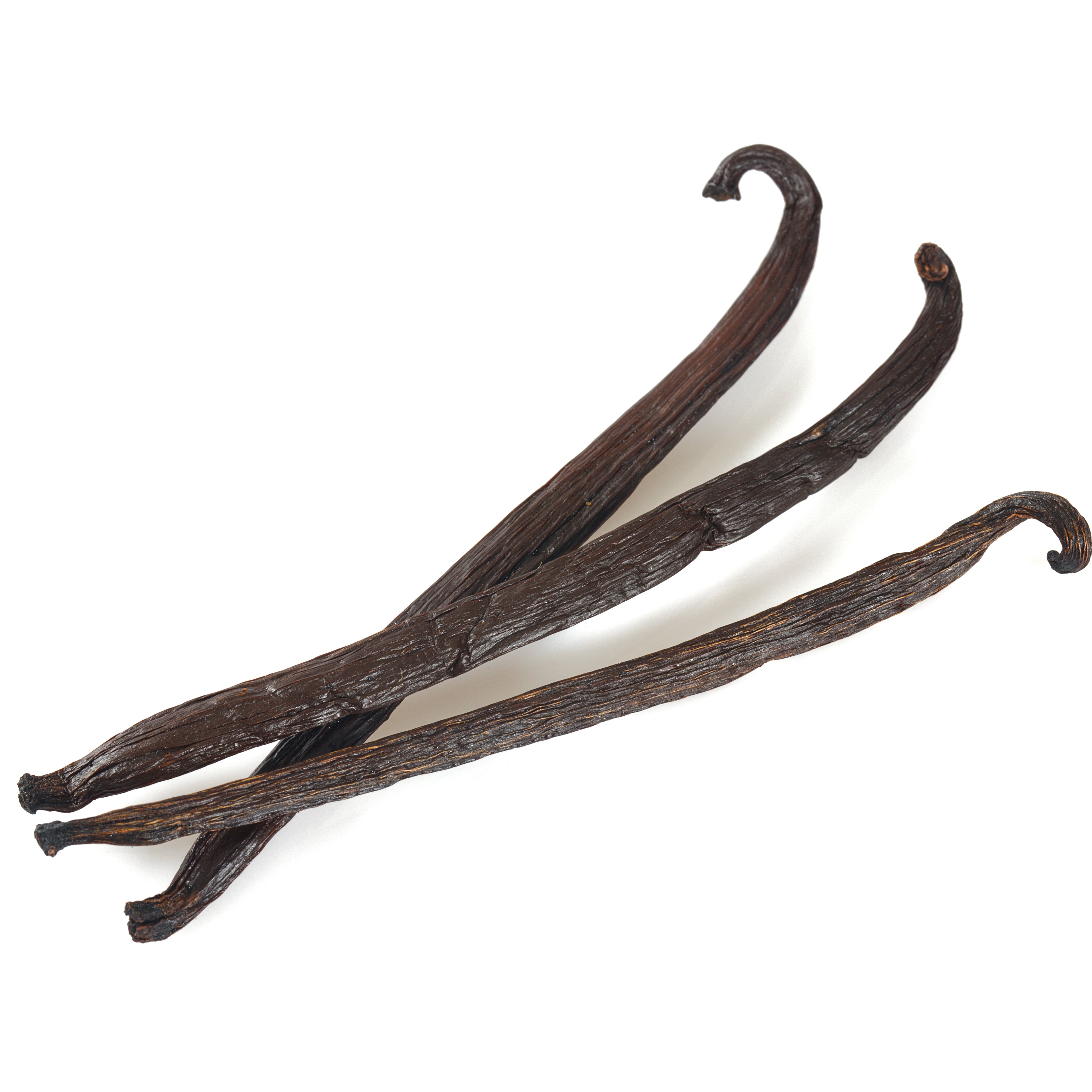 Costa Rica Vanilla Beans - Grade A Pods – Vanilla Bean Kings