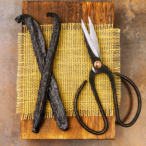 2 peru vanilla beans with scissors