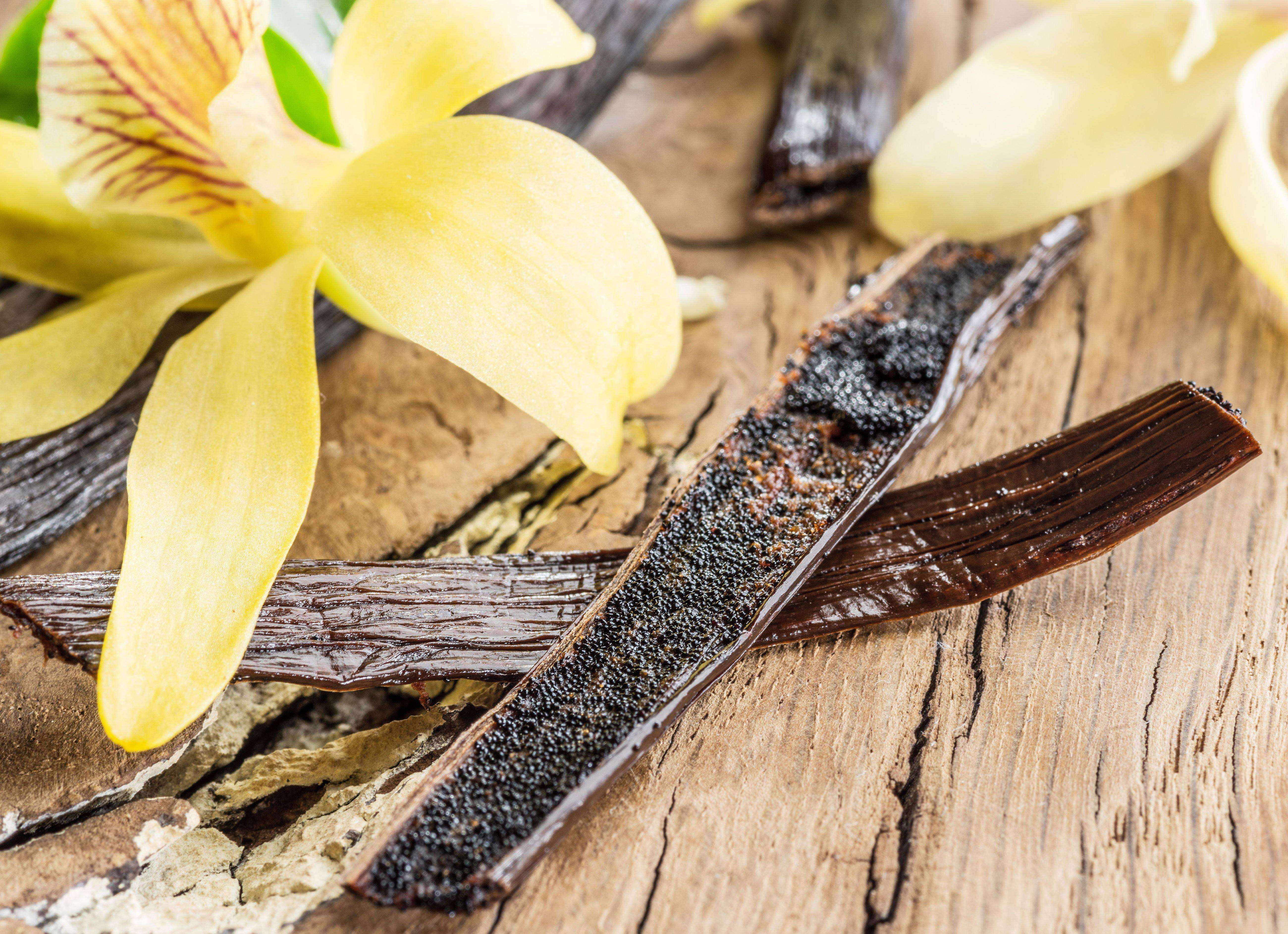 Tahitian Vanilla Beans - Whole Grade A Pods – Vanilla Bean Kings