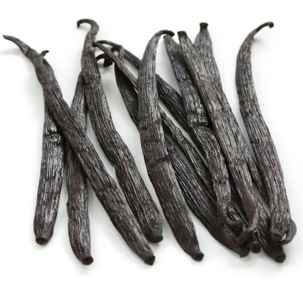 large pompona vanilla beans white background