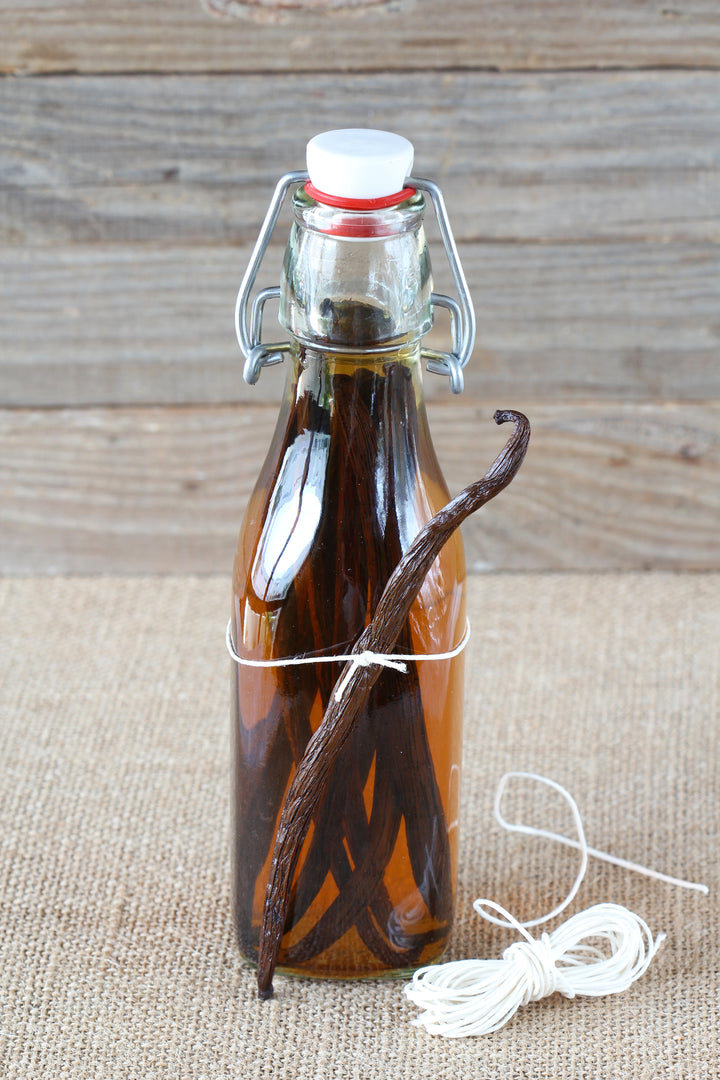 vanilla beans extracting in glass bottle 