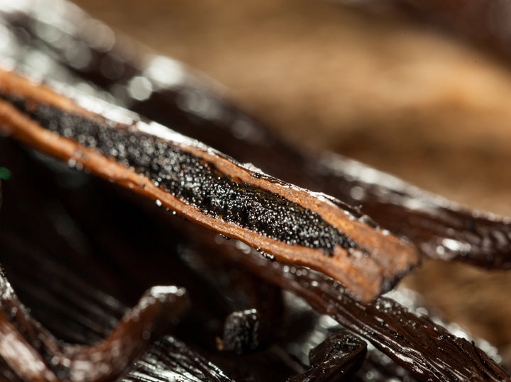 close up image of split vanilla bean showing vanilla caviar